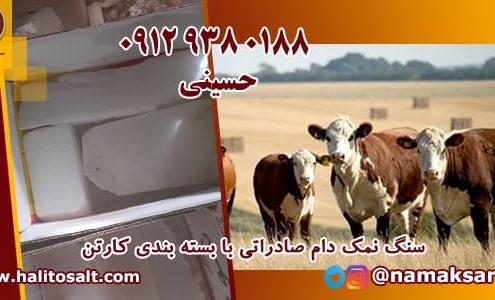 سنگ نمک دام